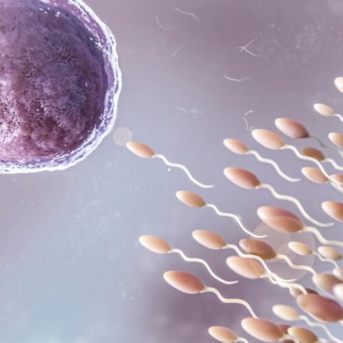 Ο θηλασμός ως μέθοδος αντισύλληψης