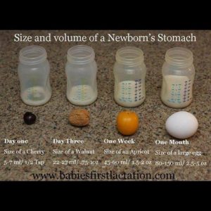 Πόσο γάλα χωράει στο στομάχι του μωρού;