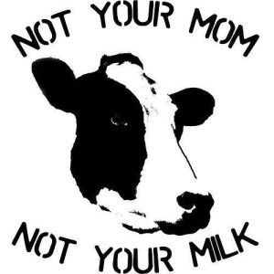 Οι κίνδυνοι από την χορήγηση συμπληρώματος τις πρώτες μέρες ζωής του παιδιού