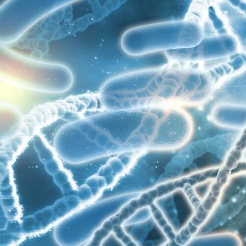 Το μητρικό γάλα προσφέρει καλά μικρόβια στο μωρό