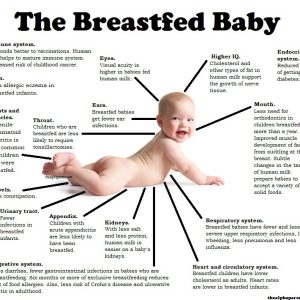 Το βρέφος που θηλάζει