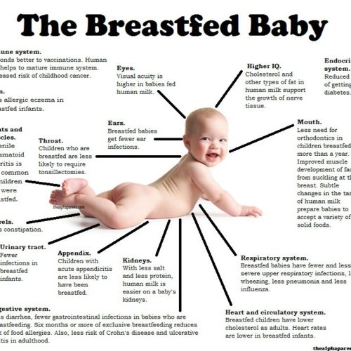 Το βρέφος που θηλάζει