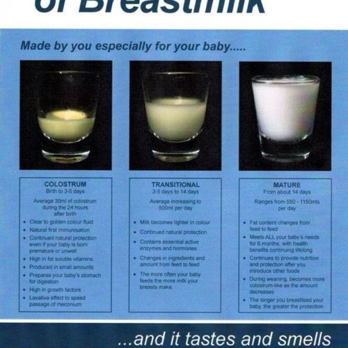 Η μαγεία του μητρικού γάλακτος