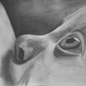 Γάλα εξ ουρανού